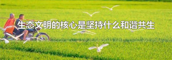 生态文明的核心是坚持什么和谐共生