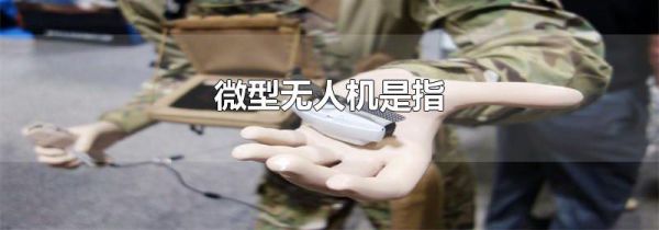 微型无人机是指