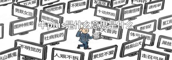 牛plus是什么意思是什么