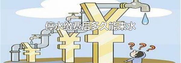 停水缴费后多久能来水