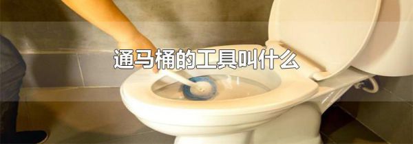 通马桶的工具叫什么