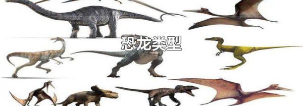 恐龙类型