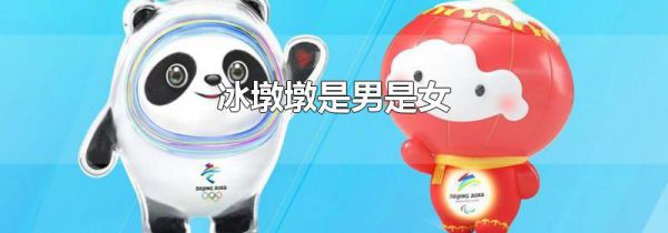 冰墩墩是男是女