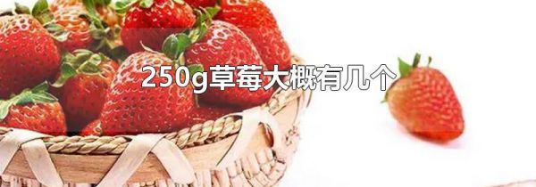 250g草莓大概有几个