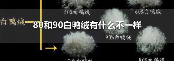 80和90白鸭绒有什么不一样