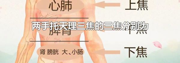 两手托天理三焦的三焦分别为