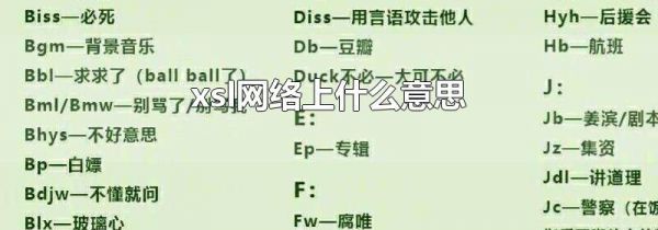 xsl网络上什么意思