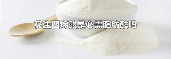 花生四烯酸是必需脂肪酸吗