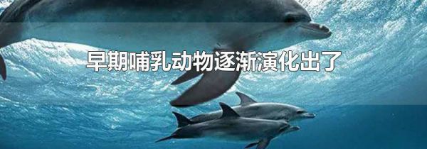 早期哺乳动物逐渐演化出了