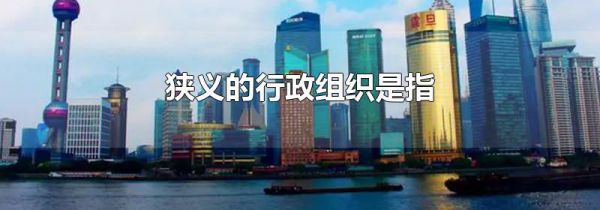 狭义的行政组织是指