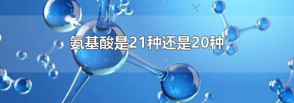 氨基酸是21种还是20种