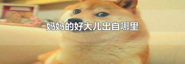 妈妈的好大儿出自哪里