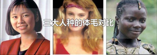 三大人种的体毛对比