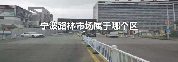 宁波路林市场属于哪个区