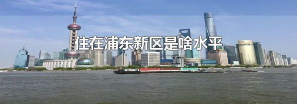 住在浦东新区是啥水平