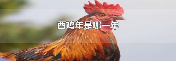 酉鸡年是哪一年