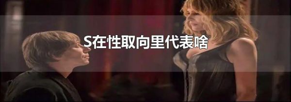 S在性取向里代表啥