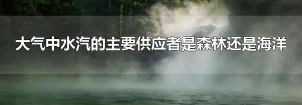 大气中水汽的主要供应者是森林还是海洋