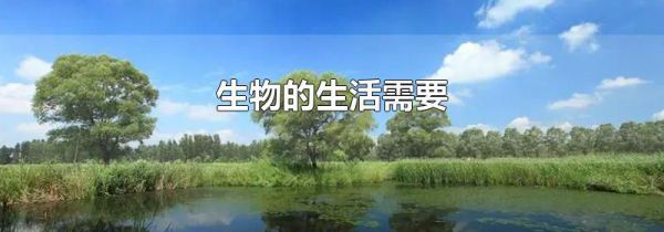 生物的生活需要