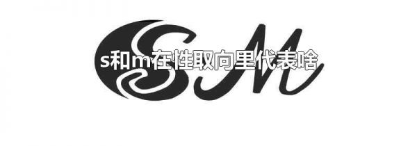 s和m在性取向里代表啥