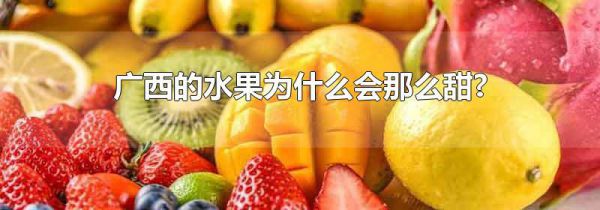 广西的水果为什么会那么甜?