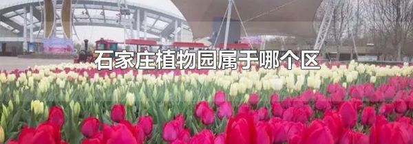石家庄植物园属于哪个区