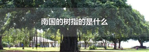 南国的树指的是什么