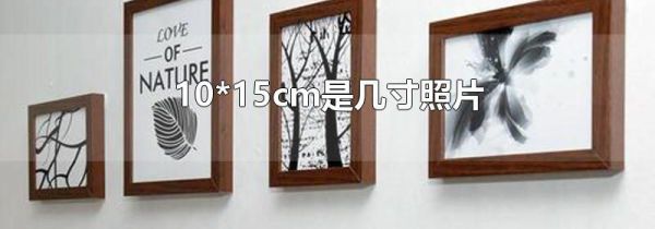 10*15cm是几寸照片