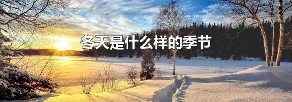 冬天是什么样的季节