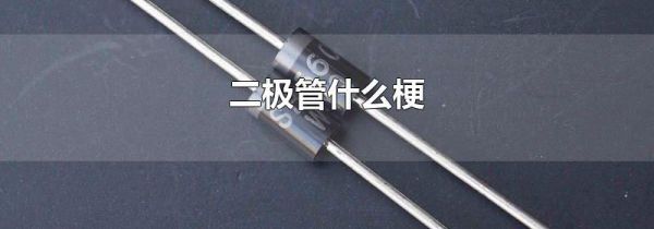 二极管什么梗