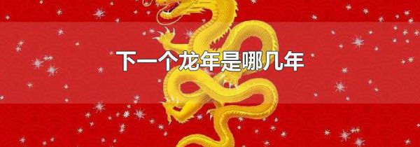 下一个龙年是哪几年