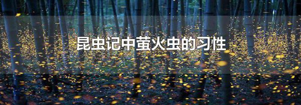 昆虫记中萤火虫的习性