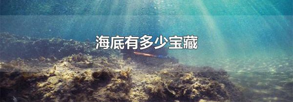 海底有多少宝藏