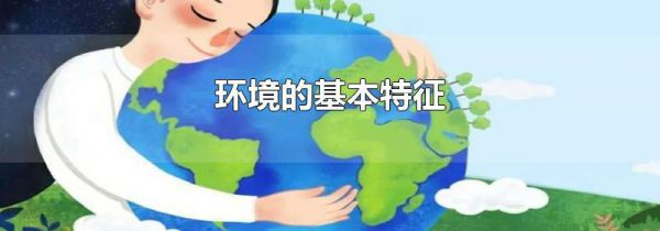 环境的基本特征