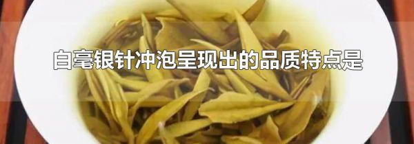 白毫银针冲泡呈现出的品质特点是
