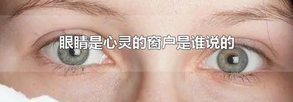 眼睛是心灵的窗户是谁说的