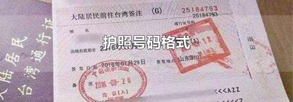 护照号码格式