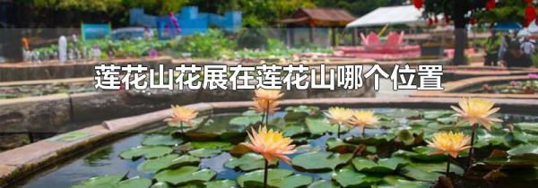 莲花山花展在莲花山哪个位置
