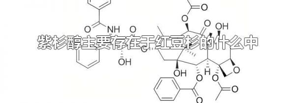 紫杉醇主要存在于红豆杉的什么中
