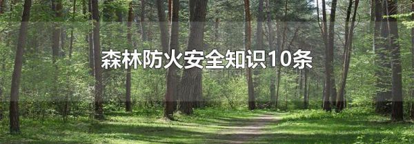 森林防火安全知识10条
