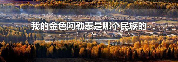 我的金色阿勒泰是哪个民族的