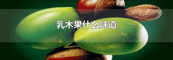 乳木果什么味道