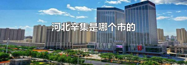 河北辛集是哪个市的