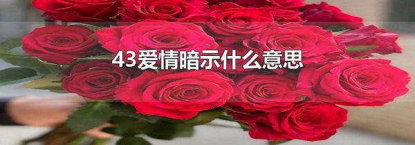 43爱情暗示什么意思