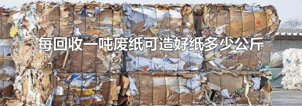 每回收一吨废纸可造好纸多少公斤