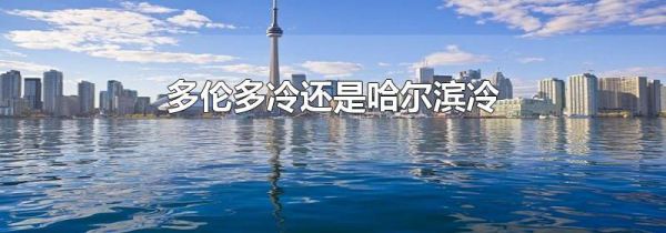 多伦多冷还是哈尔滨冷