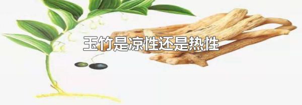 玉竹是凉性还是热性