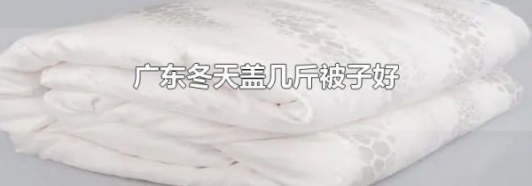 广东冬天盖几斤被子好