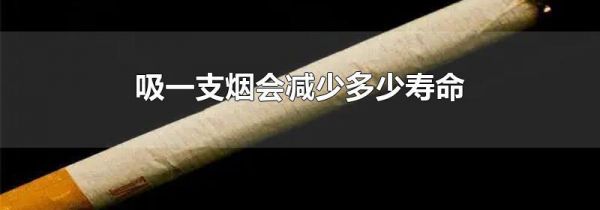 吸一支烟会减少多少寿命