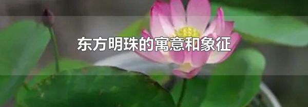 东方明珠的寓意和象征
